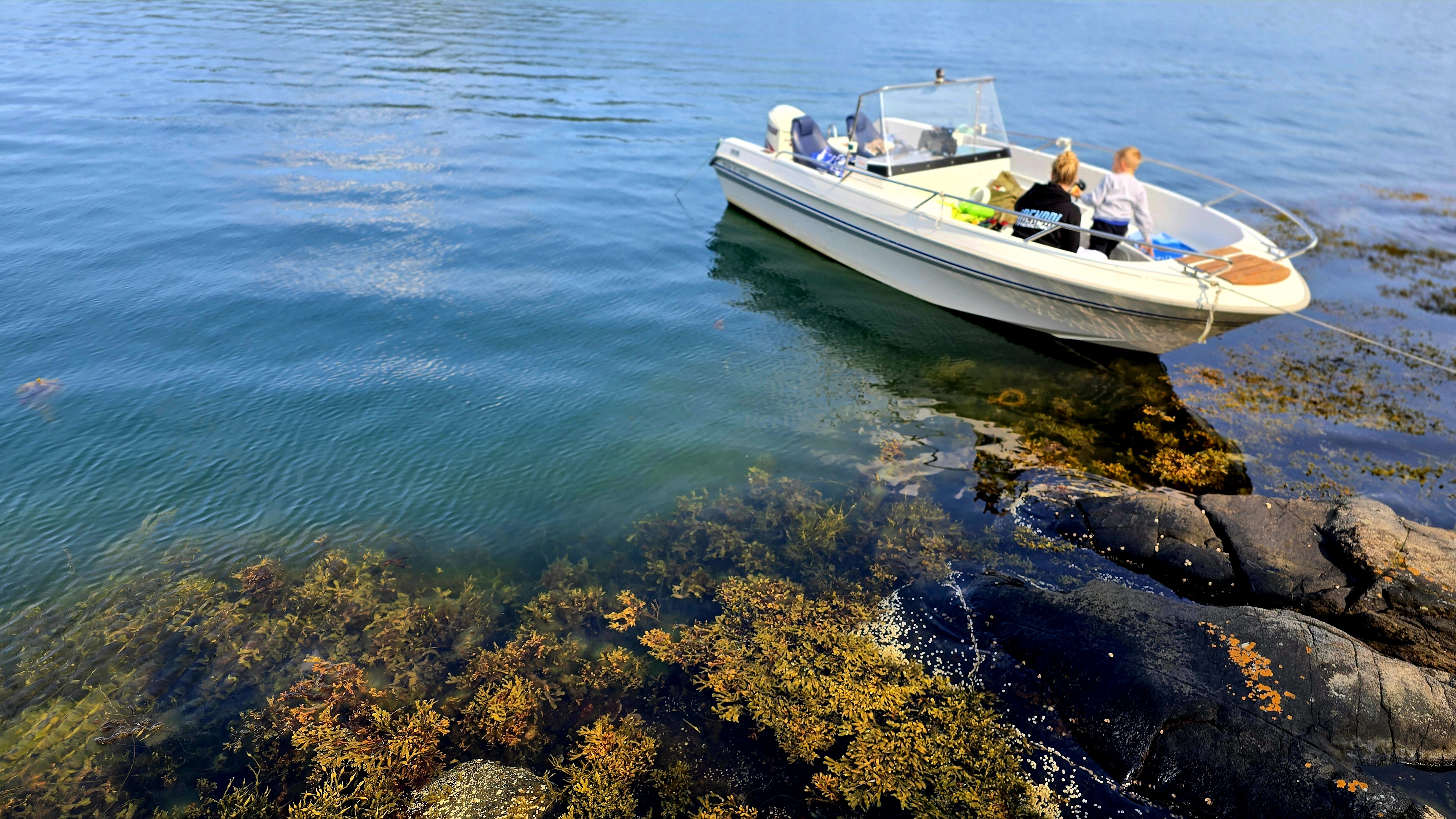 Bilde for Badetur til Breiviksfjorden
